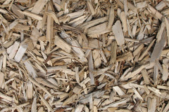 biomass boilers Moorlinch